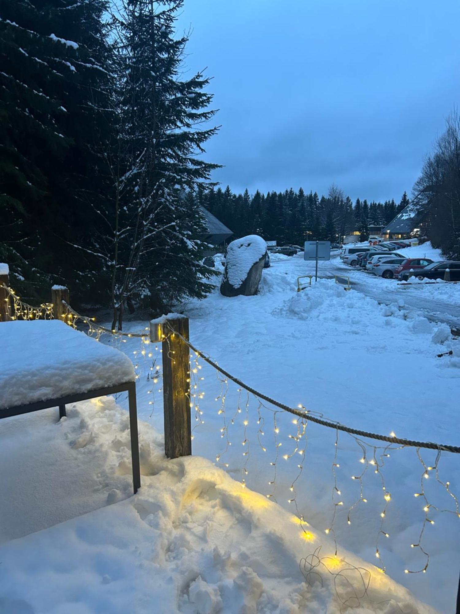 Horsky * Harrachov