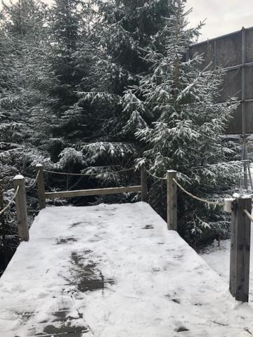 Chalet Horsky Harrachov