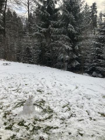 Horsky Chalet